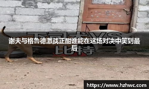 热博体育rb88官方网站
